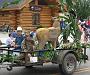 LaValle Parade 2010-345